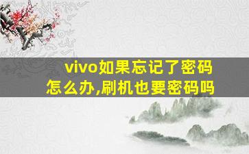 vivo如果忘记了密码怎么办,刷机也要密码吗