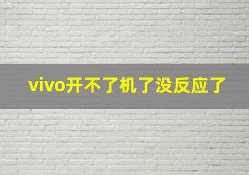 vivo开不了机了没反应了