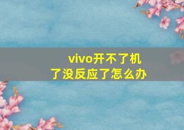 vivo开不了机了没反应了怎么办