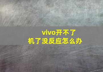 vivo开不了机了没反应怎么办