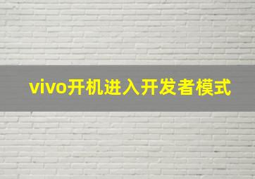 vivo开机进入开发者模式