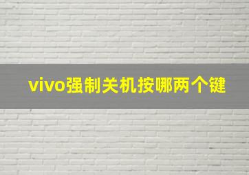 vivo强制关机按哪两个键