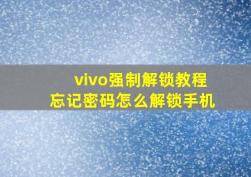 vivo强制解锁教程忘记密码怎么解锁手机