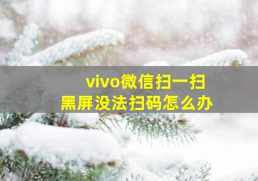 vivo微信扫一扫黑屏没法扫码怎么办