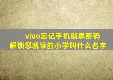 vivo忘记手机锁屏密码解锁您就读的小学叫什么名字