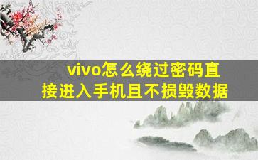 vivo怎么绕过密码直接进入手机且不损毁数据