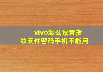 vivo怎么设置指纹支付密码手机不能用