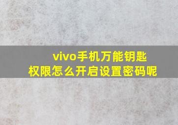 vivo手机万能钥匙权限怎么开启设置密码呢