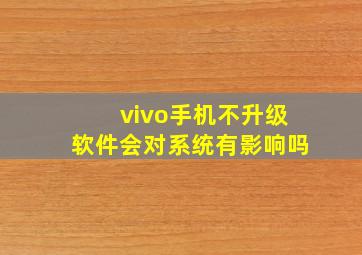 vivo手机不升级软件会对系统有影响吗