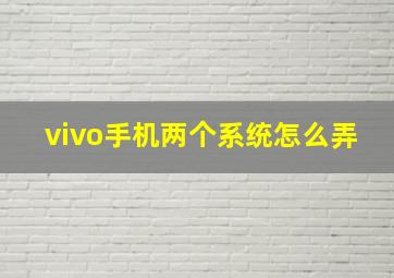 vivo手机两个系统怎么弄