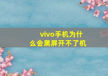 vivo手机为什么会黑屏开不了机