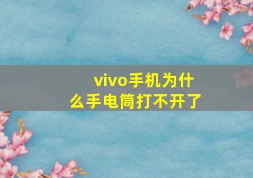 vivo手机为什么手电筒打不开了