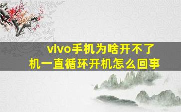 vivo手机为啥开不了机一直循环开机怎么回事