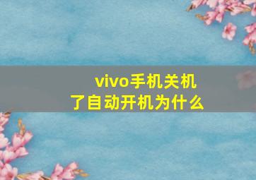 vivo手机关机了自动开机为什么