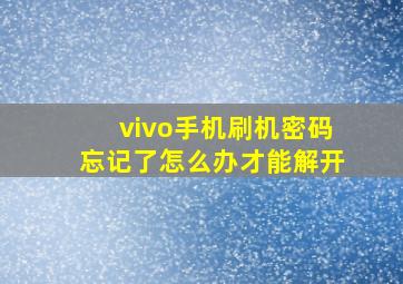 vivo手机刷机密码忘记了怎么办才能解开