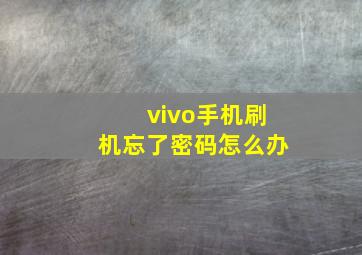 vivo手机刷机忘了密码怎么办