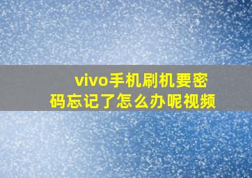 vivo手机刷机要密码忘记了怎么办呢视频