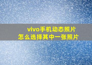 vivo手机动态照片怎么选择其中一张照片