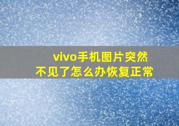 vivo手机图片突然不见了怎么办恢复正常