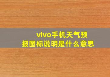 vivo手机天气预报图标说明是什么意思