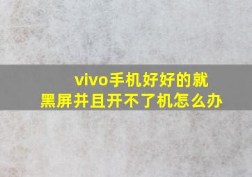 vivo手机好好的就黑屏并且开不了机怎么办