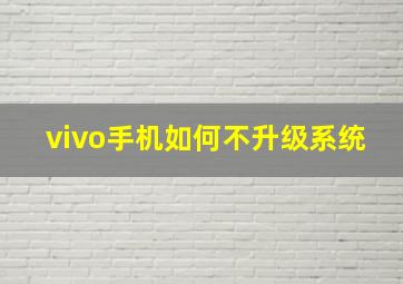 vivo手机如何不升级系统