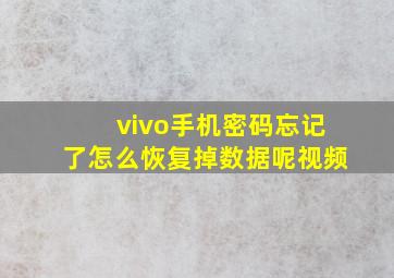 vivo手机密码忘记了怎么恢复掉数据呢视频