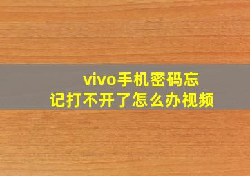 vivo手机密码忘记打不开了怎么办视频