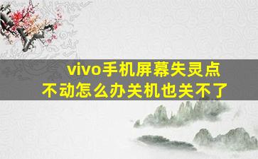 vivo手机屏幕失灵点不动怎么办关机也关不了