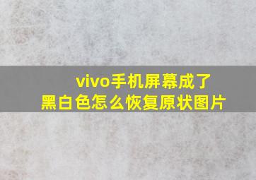 vivo手机屏幕成了黑白色怎么恢复原状图片