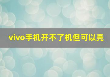 vivo手机开不了机但可以亮