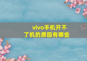 vivo手机开不了机的原因有哪些