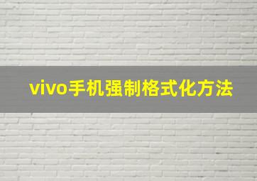 vivo手机强制格式化方法