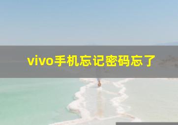 vivo手机忘记密码忘了