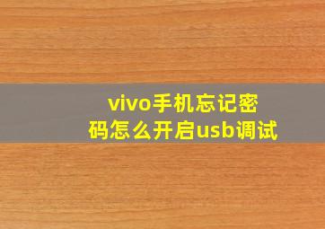 vivo手机忘记密码怎么开启usb调试