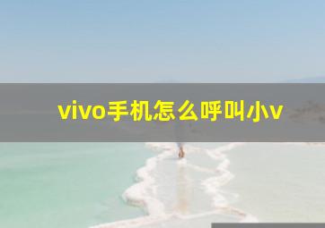 vivo手机怎么呼叫小v