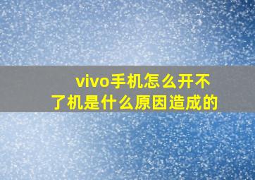 vivo手机怎么开不了机是什么原因造成的