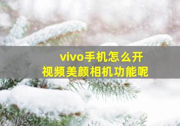 vivo手机怎么开视频美颜相机功能呢