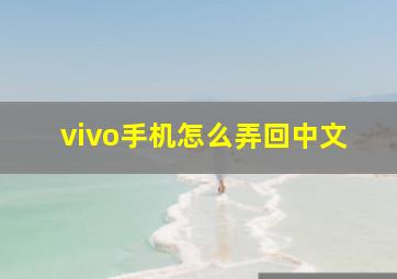 vivo手机怎么弄回中文