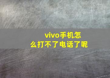 vivo手机怎么打不了电话了呢