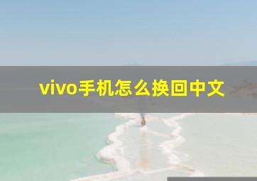 vivo手机怎么换回中文