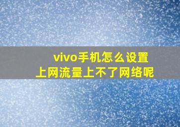 vivo手机怎么设置上网流量上不了网络呢