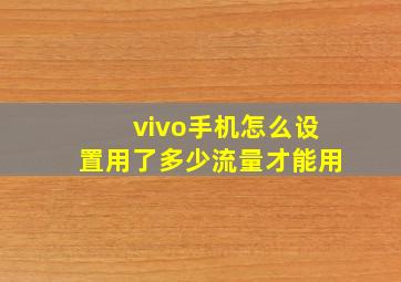 vivo手机怎么设置用了多少流量才能用