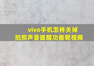 vivo手机怎样关掉拍照声音提醒功能呢视频