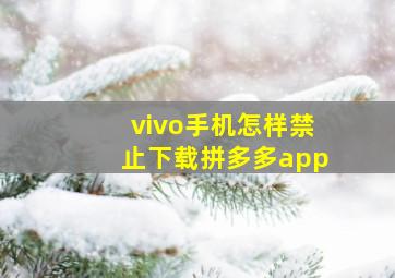 vivo手机怎样禁止下载拼多多app