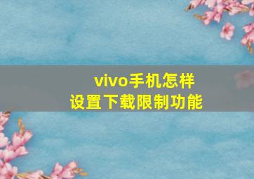 vivo手机怎样设置下载限制功能