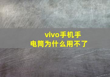 vivo手机手电筒为什么用不了