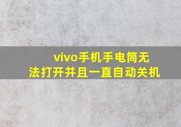 vivo手机手电筒无法打开并且一直自动关机