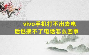 vivo手机打不出去电话也接不了电话怎么回事