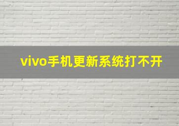 vivo手机更新系统打不开